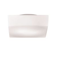Amata 1-light Medium Flushmount / Wall Sconce - Max. 60W - Wall / Ceiling Luminaire