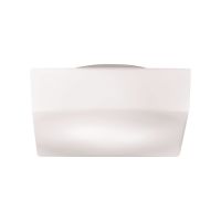 Amata 1-light Small Flushmount / Wall Sconce - Max. 60W - Wall / Ceiling Luminaire