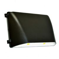 LED Large Wallpack - 49W - 5000K Cool White - 120-277V AC 