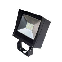 LED Compact Flood Light - 50W - 4000K Natural White - 120-277V AC - Trunnion Mount