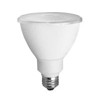 LED Light Bulb PAR30 - 13W - 2700K Soft White