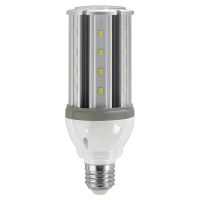 LED Corn Bulb - 10W - 5000K Cool White - 12-24V AC