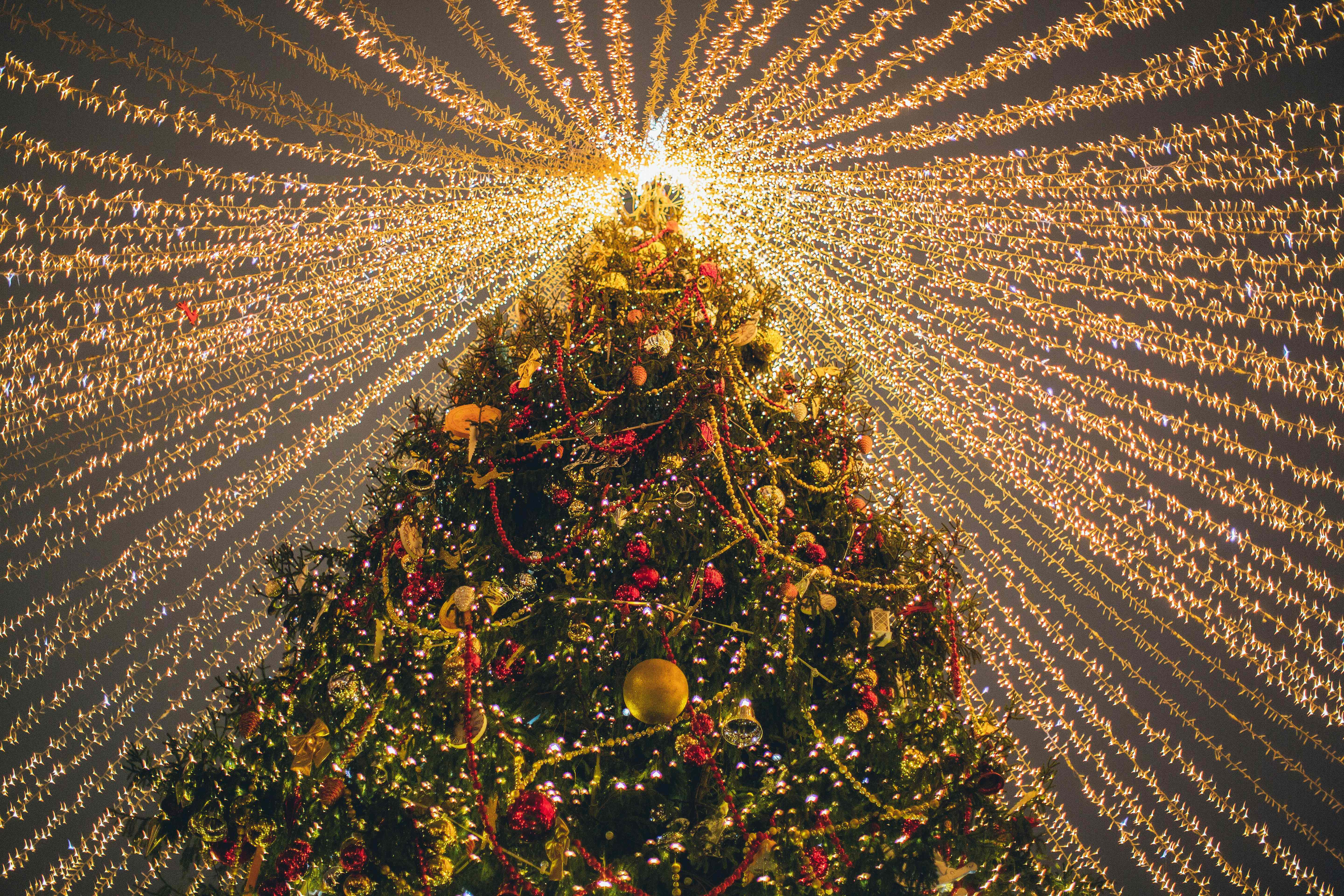Christmas tree with lighting 